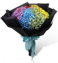 Rainbow Baby's Breath Rainbow Baby's Breath